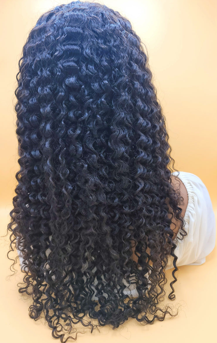 ASHA (Kinky Curly Lace Front Wig)